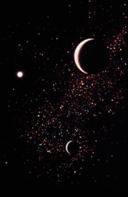 kaplumbağa d�nyası www.turgaybora.org